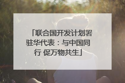 联合国开发计划署驻华代表：与中国同行 促万物共生