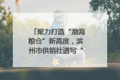 聚力打造“渤海粮仓”新高度，滨州市供销社谱写“三夏”丰收乐章