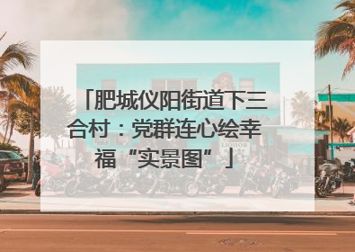 肥城仪阳街道下三合村：党群连心绘幸福“实景图”