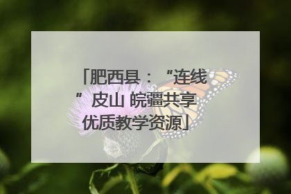 肥西县：“连线”皮山 皖疆共享优质教学资源
