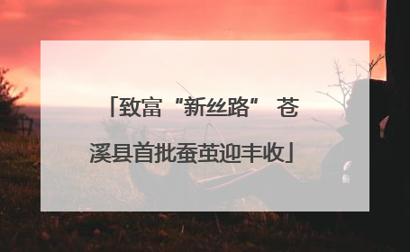 致富“新丝路” 苍溪县首批蚕茧迎丰收