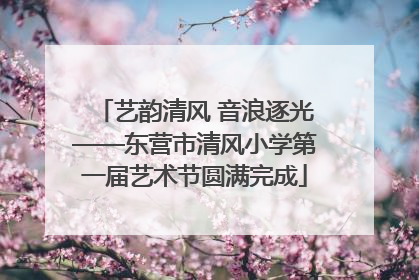 艺韵清风 音浪逐光——东营市清风小学第一届艺术节圆满完成