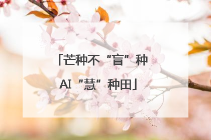 芒种不“盲”种 AI“慧”种田