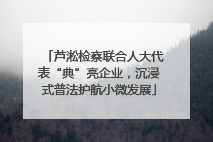 芦淞检察联合人大代表“典”亮企业，沉浸式普法护航小微发展