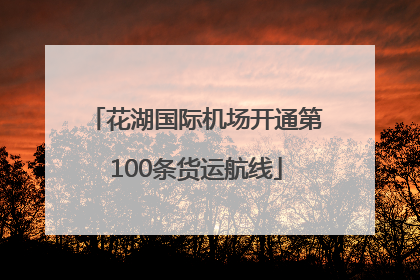 花湖国际机场开通第100条货运航线