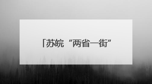 苏皖“两省一街”丹阳警务室：进一扇门 办两省事