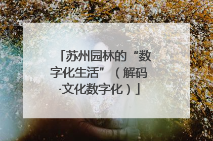 苏州园林的“数字化生活”（解码·文化数字化）