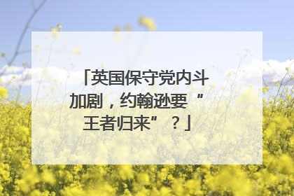 英国保守党内斗加剧，约翰逊要“王者归来”？