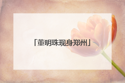 董明珠现身郑州