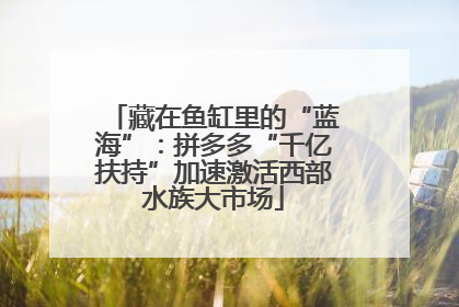 藏在鱼缸里的“蓝海”：拼多多“千亿扶持”加速激活西部水族大市场