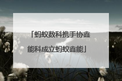 蚂蚁数科携手协鑫能科成立蚂蚁鑫能