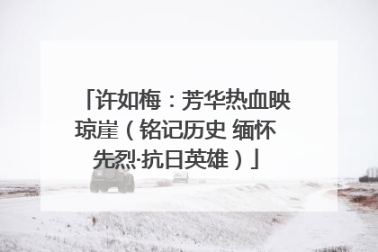 许如梅：芳华热血映琼崖（铭记历史 缅怀先烈·抗日英雄）