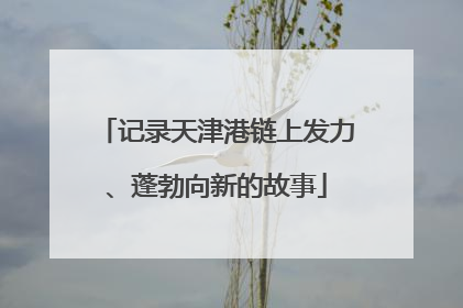 记录天津港链上发力、蓬勃向新的故事