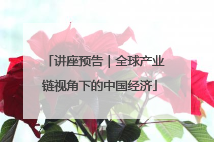 讲座预告｜全球产业链视角下的中国经济