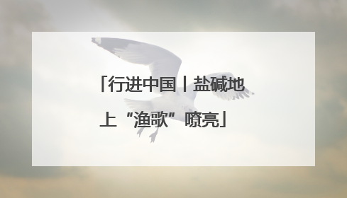 行进中国丨盐碱地上“渔歌”嘹亮