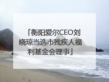 衡阳爱尔CEO刘晓琼当选市残疾人福利基金会理事