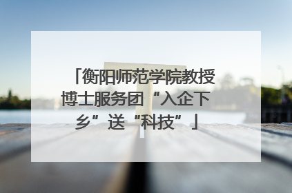 衡阳师范学院教授博士服务团“入企下乡”送“科技”