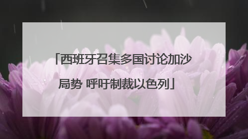 西班牙召集多国讨论加沙局势 呼吁制裁以色列