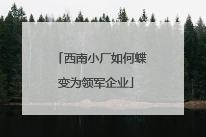 西南小厂如何蝶变为领军企业