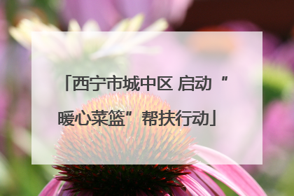 西宁市城中区 启动“暖心菜篮”帮扶行动