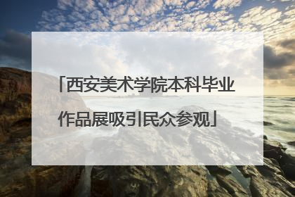 西安美术学院本科毕业作品展吸引民众参观