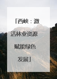 西峡：激活林业资源 赋能绿色发展