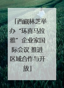 西藏林芝举办“环喜马拉雅”企业家国际会议 推进区域合作与开放