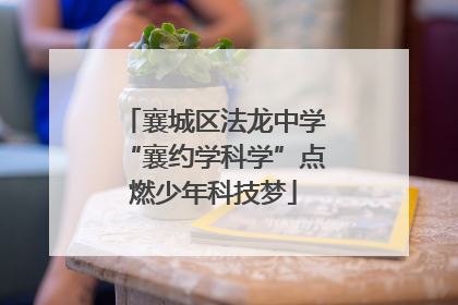 襄城区法龙中学“襄约学科学”点燃少年科技梦