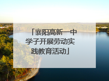 襄阳高新一中学子开展劳动实践教育活动