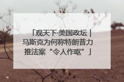 观天下·美国政坛｜马斯克为何称特朗普力推法案“令人作呕”