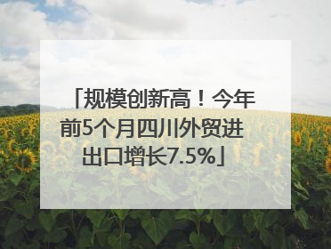 规模创新高！今年前5个月四川外贸进出口增长7.5%