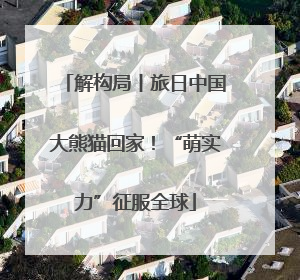 解构局丨旅日中国大熊猫回家！“萌实力”征服全球