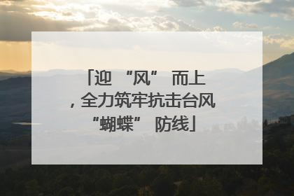 迎 “风” 而上，全力筑牢抗击台风 “蝴蝶” 防线
