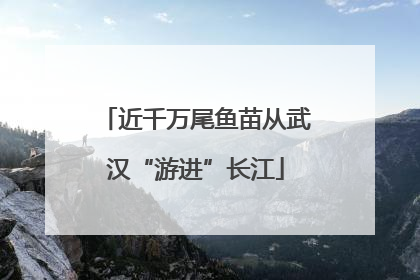 近千万尾鱼苗从武汉“游进”长江
