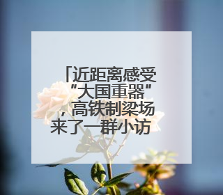 近距离感受“大国重器”，高铁制梁场来了一群小访客