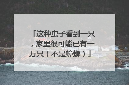 这种虫子看到一只，家里很可能已有一万只（不是蟑螂）