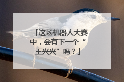 这场机器人大赛中，会有下一个“王兴兴”吗？