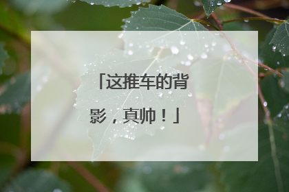 这推车的背影，真帅！