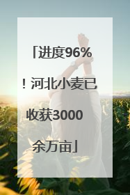 进度96%！河北小麦已收获3000余万亩