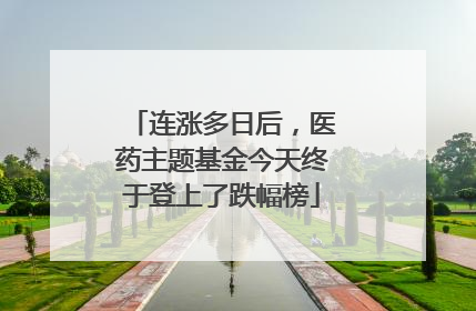 连涨多日后，医药主题基金今天终于登上了跌幅榜
