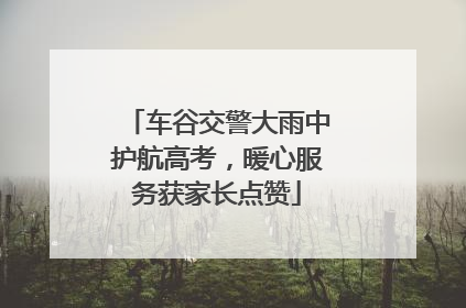 车谷交警大雨中护航高考，暖心服务获家长点赞