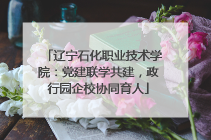 辽宁石化职业技术学院：党建联学共建，政行园企校协同育人