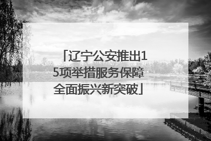 辽宁公安推出15项举措服务保障全面振兴新突破