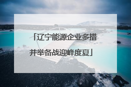 辽宁能源企业多措并举备战迎峰度夏