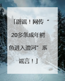 辟谣！网传“20多条成年鳄鱼进入澧河”系谣言！