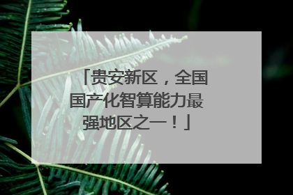 贵安新区，全国国产化智算能力最强地区之一！