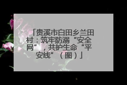 贵溪市白田乡兰田村：筑牢防溺“安全网”，共护生命“平安线”（图）