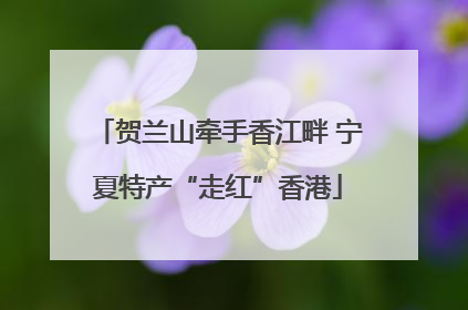 贺兰山牵手香江畔 宁夏特产“走红”香港