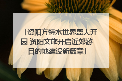 资阳方特水世界盛大开园 资阳文旅开启近郊游目的地建设新篇章