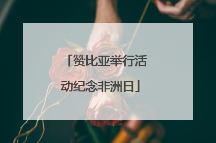 赞比亚举行活动纪念非洲日